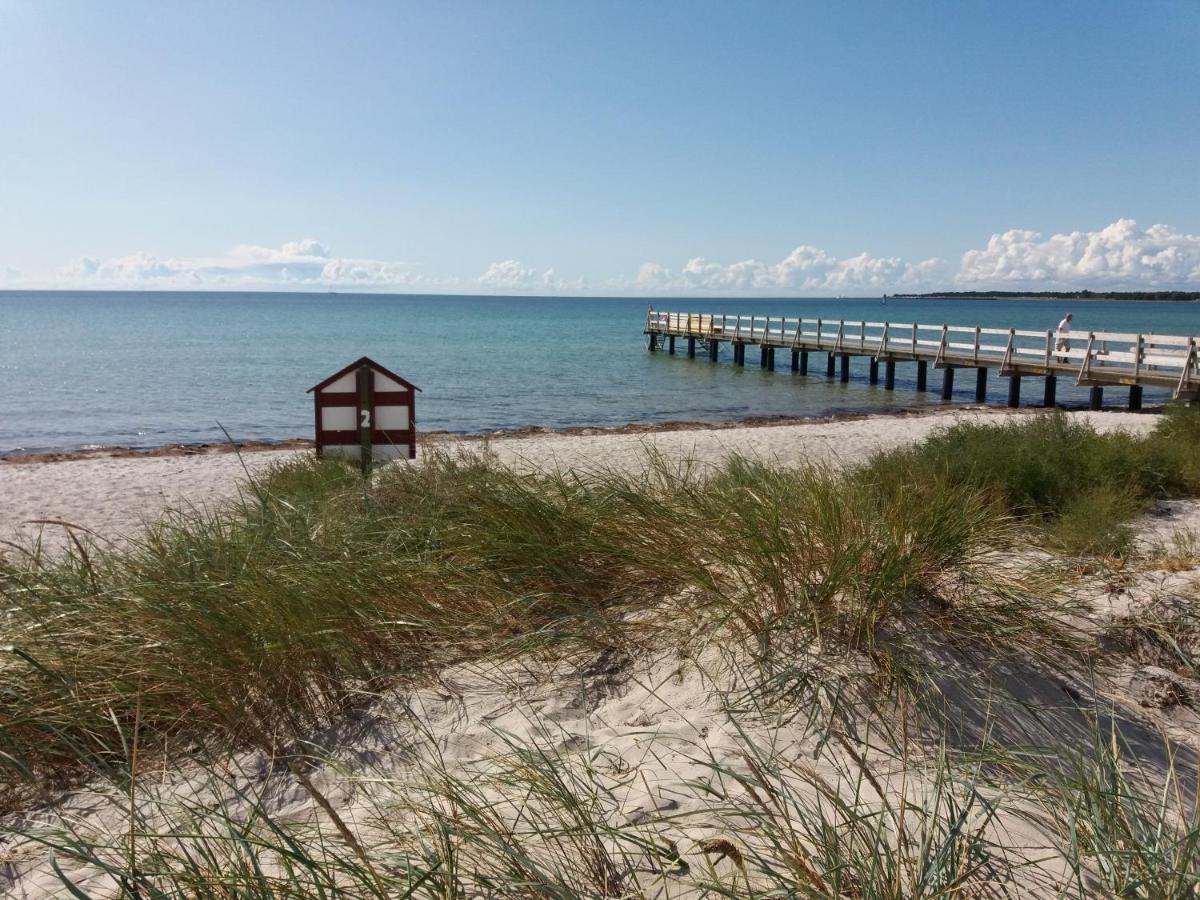 Tiny House 200 M From Kaempinge Beach Hollviken Luaran gambar